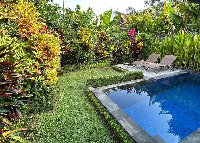 Villa Dirna House Cozy Private In Local Area *
